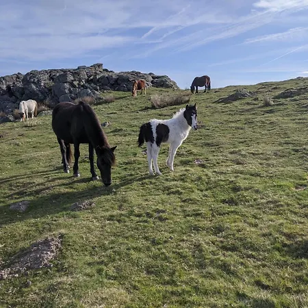 Ortesene Lejlighed Hasparren