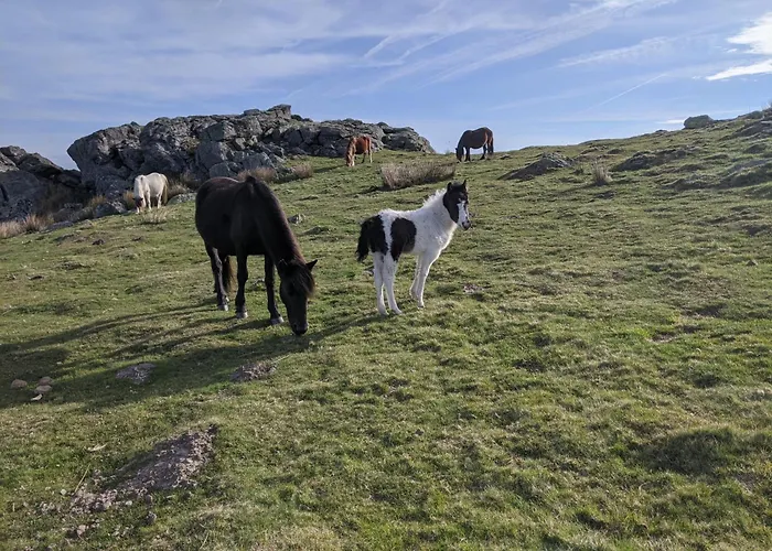 Ortesene Appartamento Hasparren